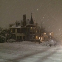 Blackout - Single - Daelus