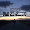 I'm So Sorry - Single