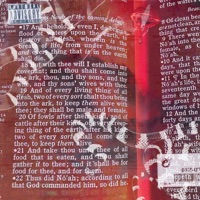 The Flood - Single - Kiing Loki