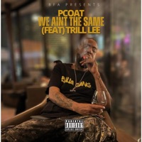 We ain't the same (feat. Trill Lee) - Single - P-COAT P
