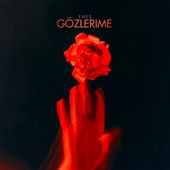 Gözlerime artwork