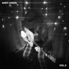 Guitar Covers, Vol. 2 - Andy Angel