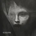 Lost Within Desolation