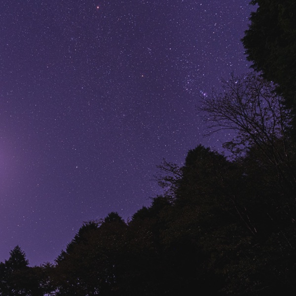 Nature Sound for Sleep