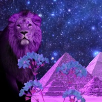 Lion's Gate (feat. Urbanachi) - Single - Turkish Christ