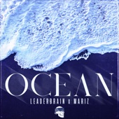 OCEAN artwork