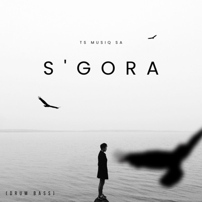 S'gora (feat. TshepZin_SA) - Single