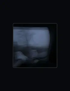 Ouça S4JAY, assista a videoclipes, leia a biografia, veja as datas das turnês e mais!