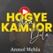 Hogye Haa Kamjor Dila - Anmol Mehla lyrics