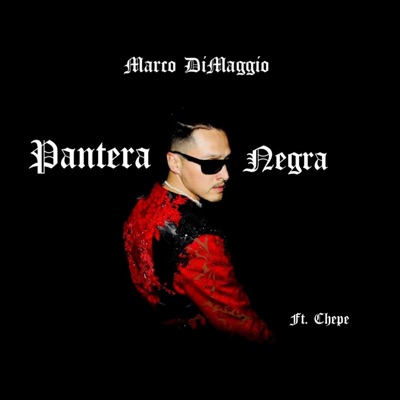 Pantera Negra (feat. Chepe) - Single