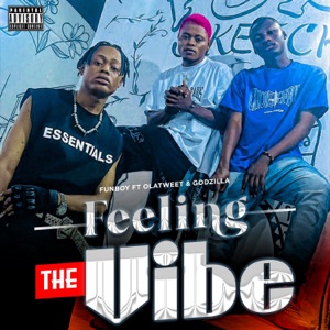 Feeling the Vibe (feat. Godzilla & Olatweet)