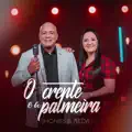 O Crente e a Palmeira