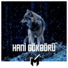 Hani Gökbörü - Single