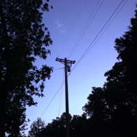Nara - Single - Dewberry Dastardly