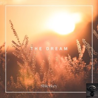 The Dream - Single - Shlezkey