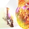 化学反応 #kgdr (feat. Zeebra & DJ OASIS) - K Dub Shine lyrics