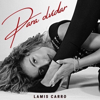 Para olvidar - Single