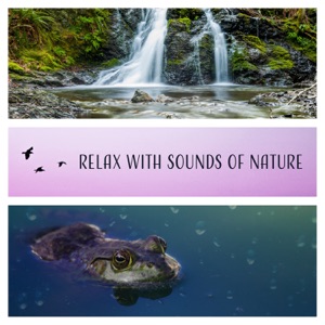 Relax with Sounds of Nature – Relaxing Background for Yoga, Meditation, Sleep (Rain, Waterfalls, Ocean, Birds, Frogs, Thunderstorms, Rivers)