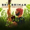 Bad Times - Bhi Bhiman lyrics