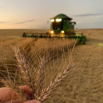 Neptune - No Farmers No Food