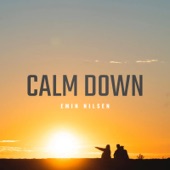 Calm Down (Remix) artwork