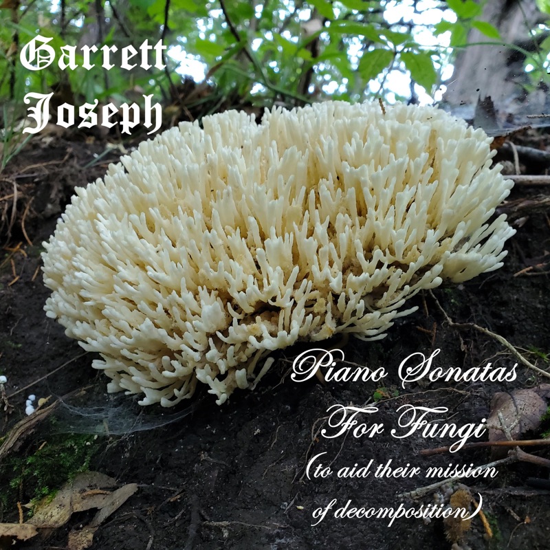 Calvatia Gigantea Insanity (Fungi C.G.I.) in D# Minor - Garrett Joseph ...