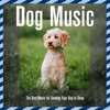 Dog Music: The Best Music for Sending Your Dog to Sleep