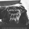 Canciones Para Perros: Los Mejores Sonidos Calmantes Para Mascotas Para Una Relajación Rápida