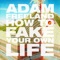 How To Fake Your Own Life - Adam Freeland lyrics