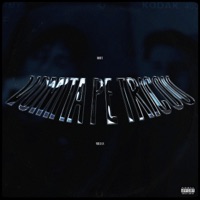 Vomita Pe Tricou (feat. Milian) - Single - Rofe