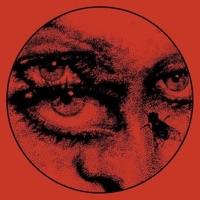 Plotting - Single - Enxy