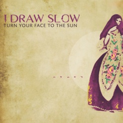 TURN YOUR FACE TO THE SUN cover art