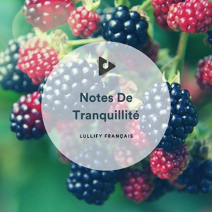 Notes De Tranquillité