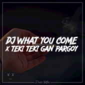 DJ What You Come X Teki Gan Pargoy (Remix) artwork