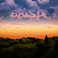 Brisa (feat. Chezz) - Single - Mørfy