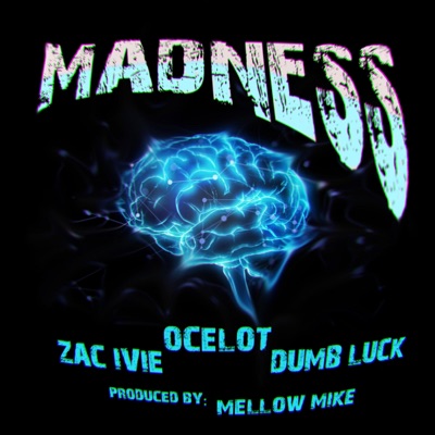 Madness (feat. Zac Ivie & Dumb Luck) - Single