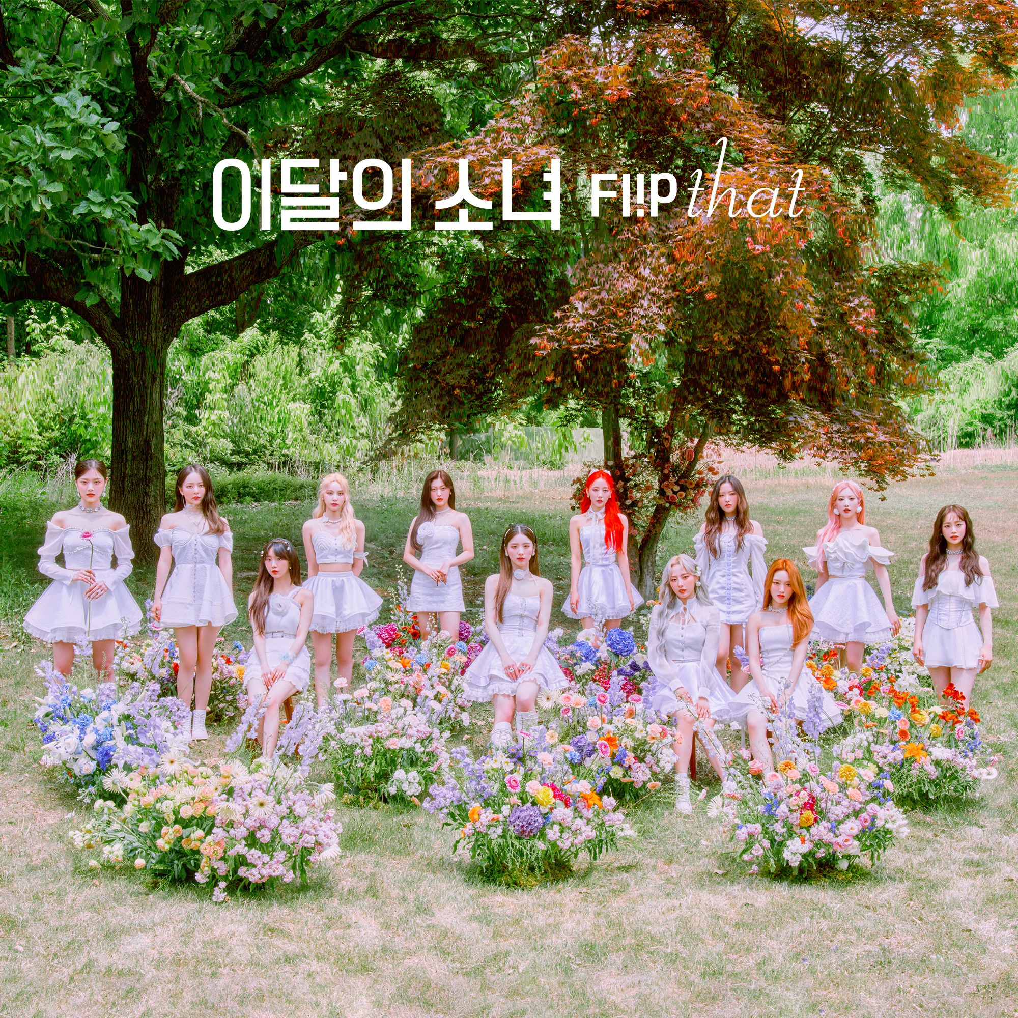 Heart Attack (Chuu) - LOONA: Song Lyrics, Music Videos & Concerts