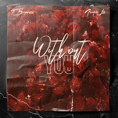 Without You (feat. Nueve Lio) - Single