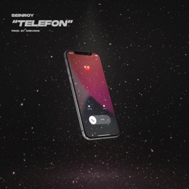Telefon SEINROY