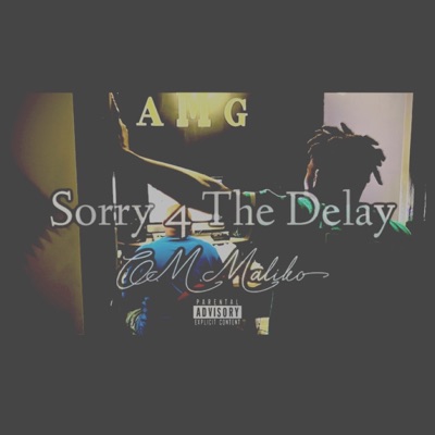Sorry 4 the Delay - EP