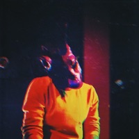 Rarities Extended - The Bunny The Bear
