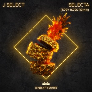 Selecta (Toby Ross Remix) - Single
