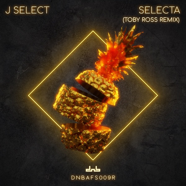 Selecta (Toby Ross Remix) - Single