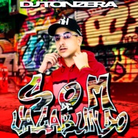 Som de Vagabundo - Single - DJ Tonzera