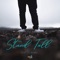 Stand Tall (feat. Lil Bunn) - Villin lyrics