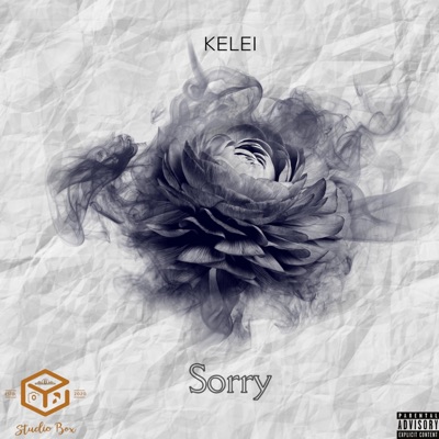 Sorry (Radio Edit) - Single