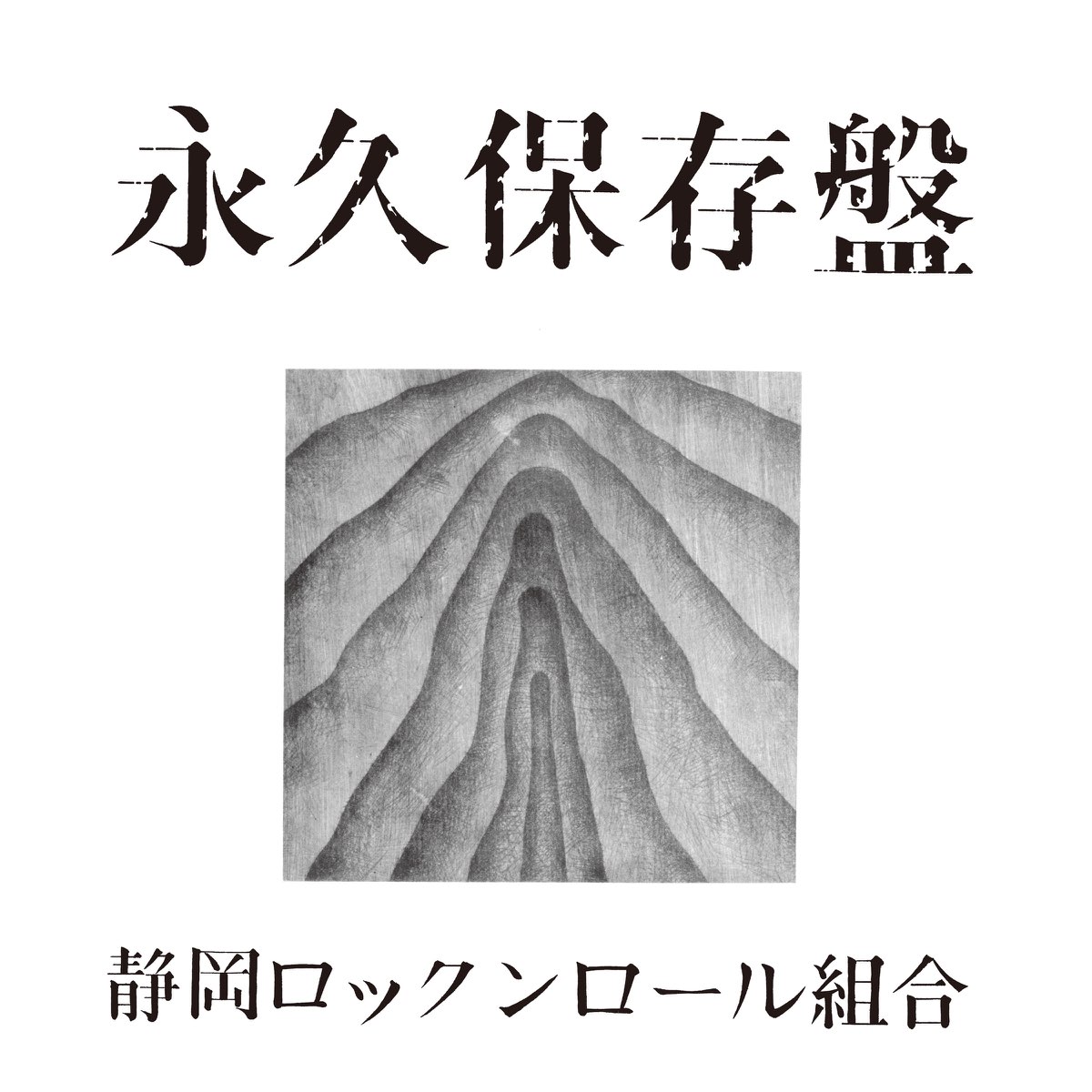 週間売れ筋 永久保存盤》- 静岡ロックンロール組合的专辑 Music Apple - 邦楽