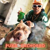 Puxa Cachorro - Single - Função RHK