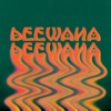 Deewana Deewana - Single