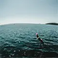falling into place